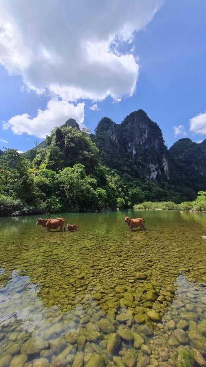 Phong Nha Backpacker Hostel Cu Lac Ngoại thất bức ảnh